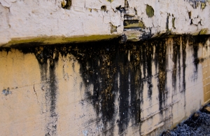 Water-Damage