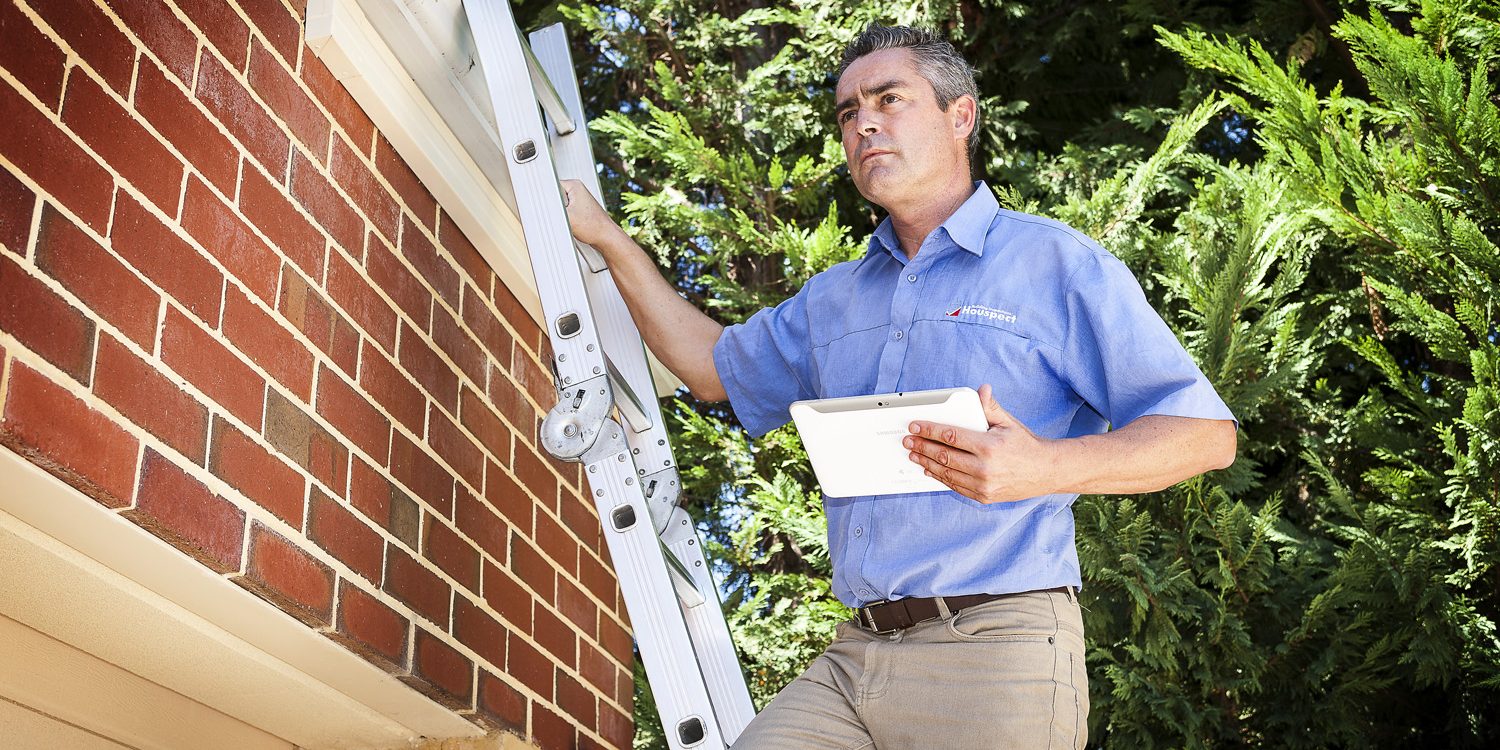 8-Houspect-Inspector-Ladder