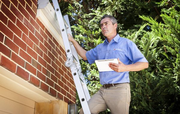 8-Houspect-Inspector-Ladder