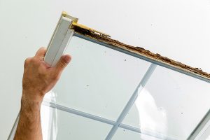 Window Damaged By Wet Rot In The Wooden Frame