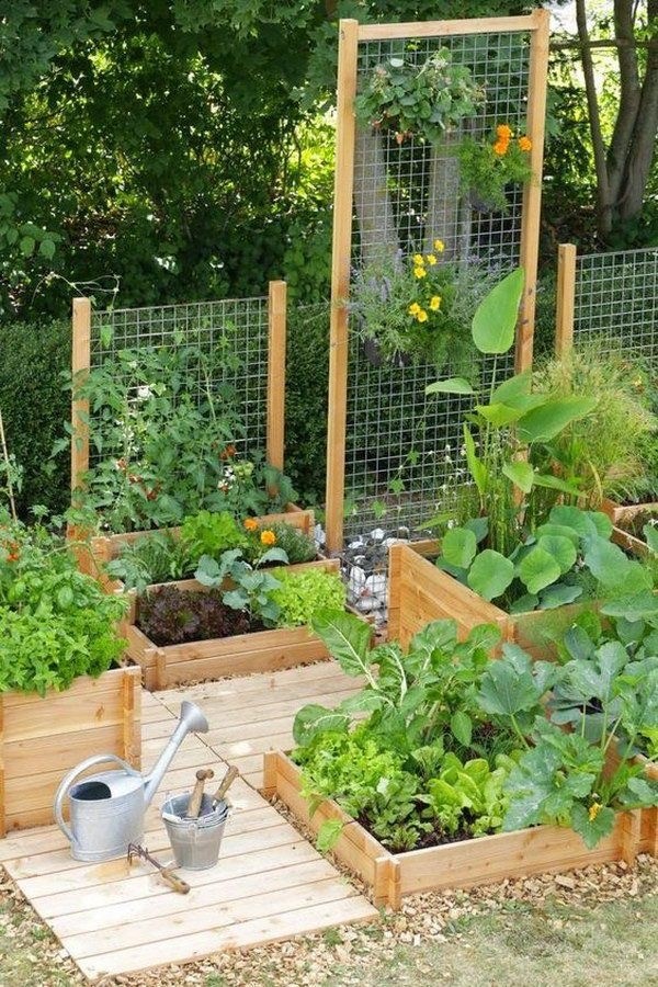 veggie patches