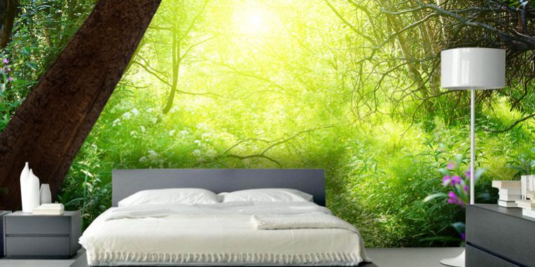 feng shui for the home