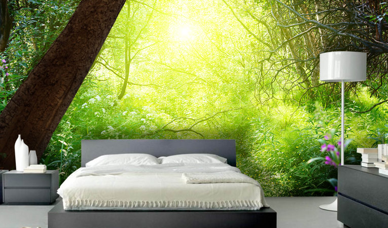 feng shui for the home