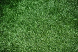 artificial grass