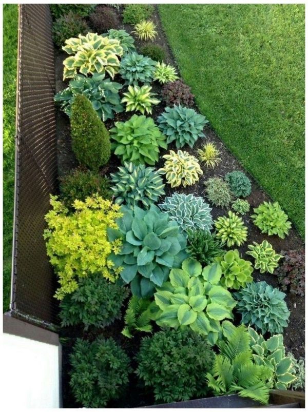 landscaping-ideas1