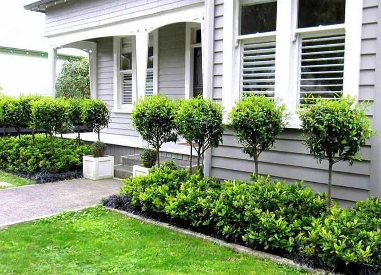 Front Yard Landscaping Ideas, Landscaping Ideas For Front Of House Australia