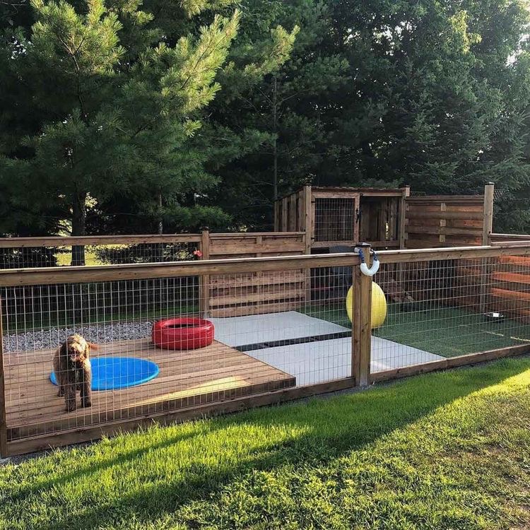 Dog Yard Ideas Outdoor Dog Area Ideas Houspect NSW