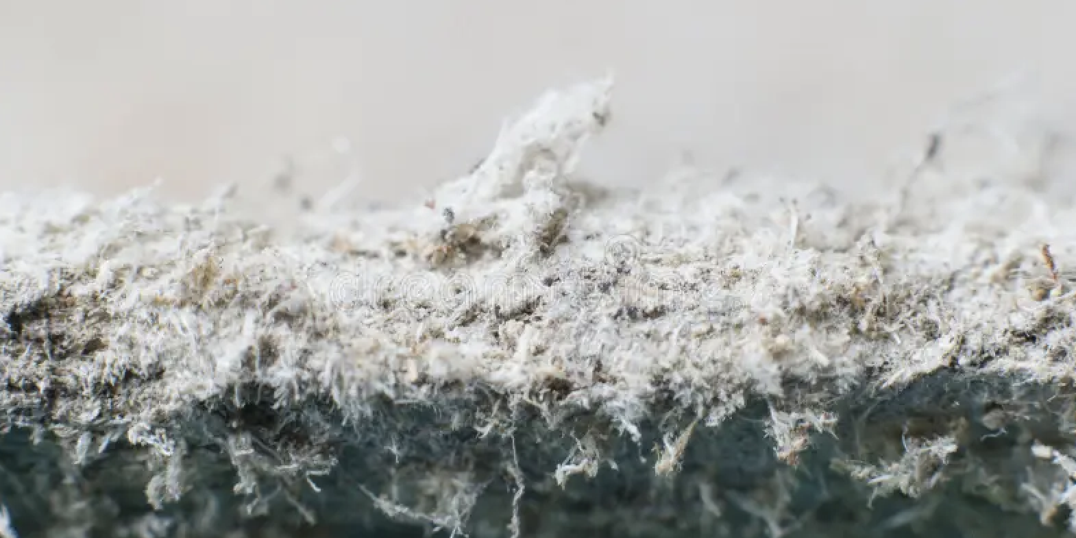 Hidden Dangers Identifying Asbestos and Lead Paint in Older NSW Homes