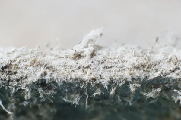 Asbestos