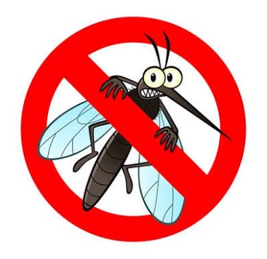 Mozzie Pic bugs