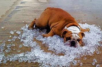 Heat Stroke heat stroke