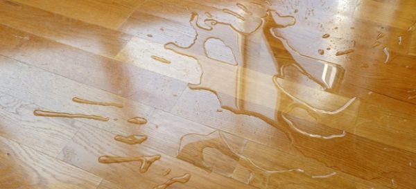 Safety Proofing Your Home Image