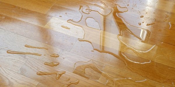 Safety Proofing Your Home Image