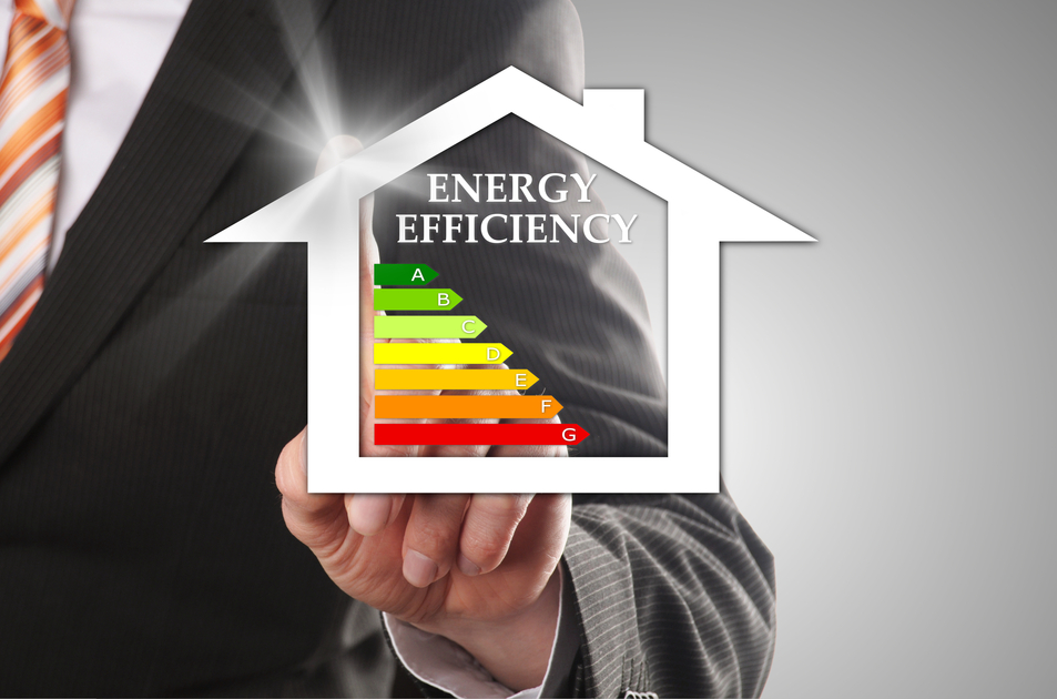 selection of the dream house