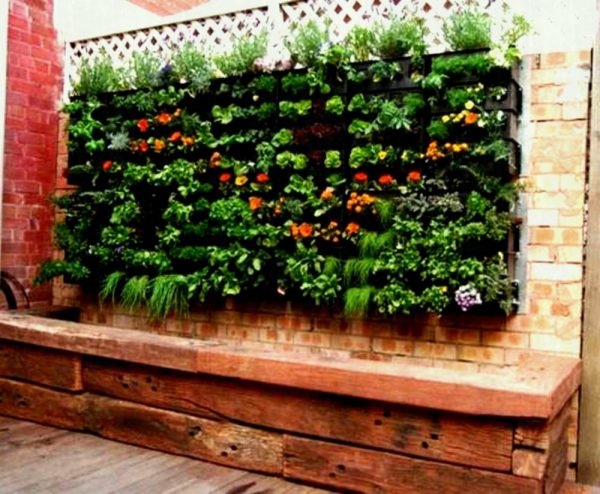 vertical-vegetable-gardening-in-small-spaces veggie patch