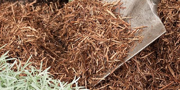 Mulching your garden