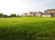 synthetic grass