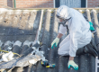 How To Identify Asbestos