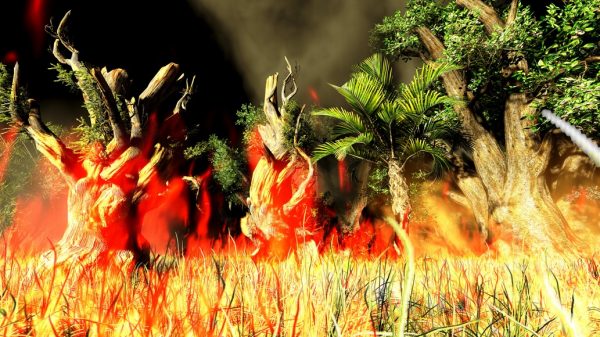 Bush fire