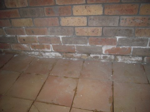 Moisture coming through brickwork built to last