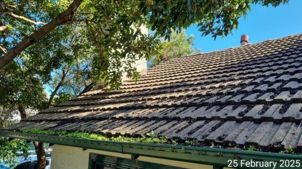 houspect-vic-blog-post-main-image