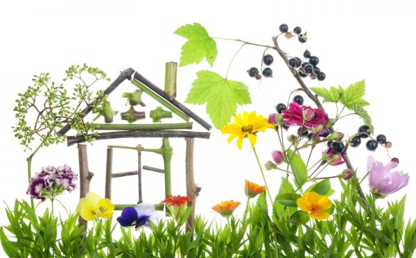 Green Home
