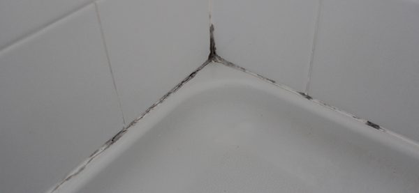 grout-mold
