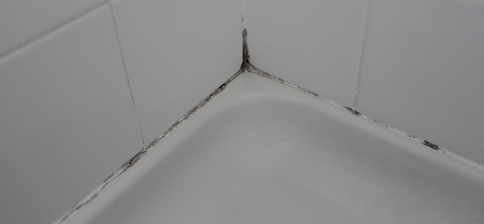 grout-mold