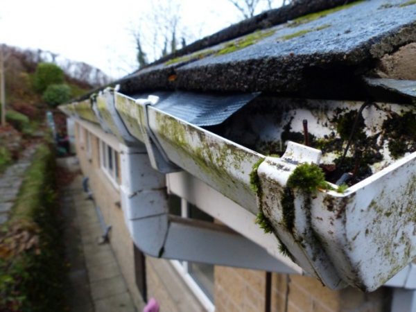 gutter WA