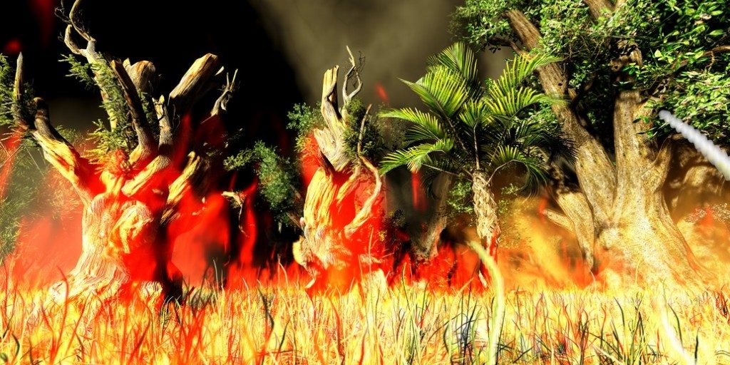 photodune-3119689-bush-fire-s-1024×576 Bushfire Regulations