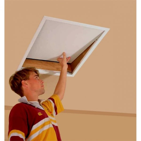 attic pre purchase building inspection
