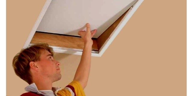 pre purchase building inspection