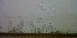 leaking shower stalls