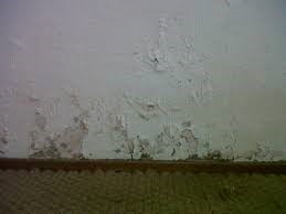 leaking shower stalls leaking shower stalls