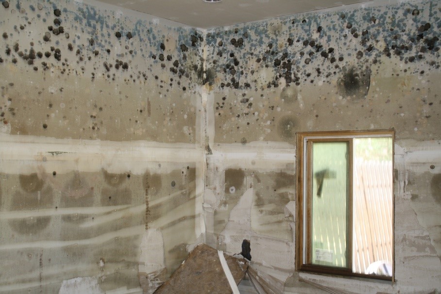 Water Ingress - Ventilation - Mould in WA Apartments and ...