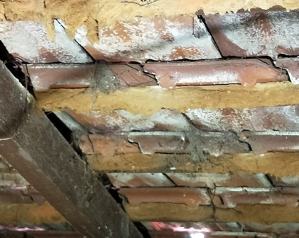 structural defects delignification of tile battens